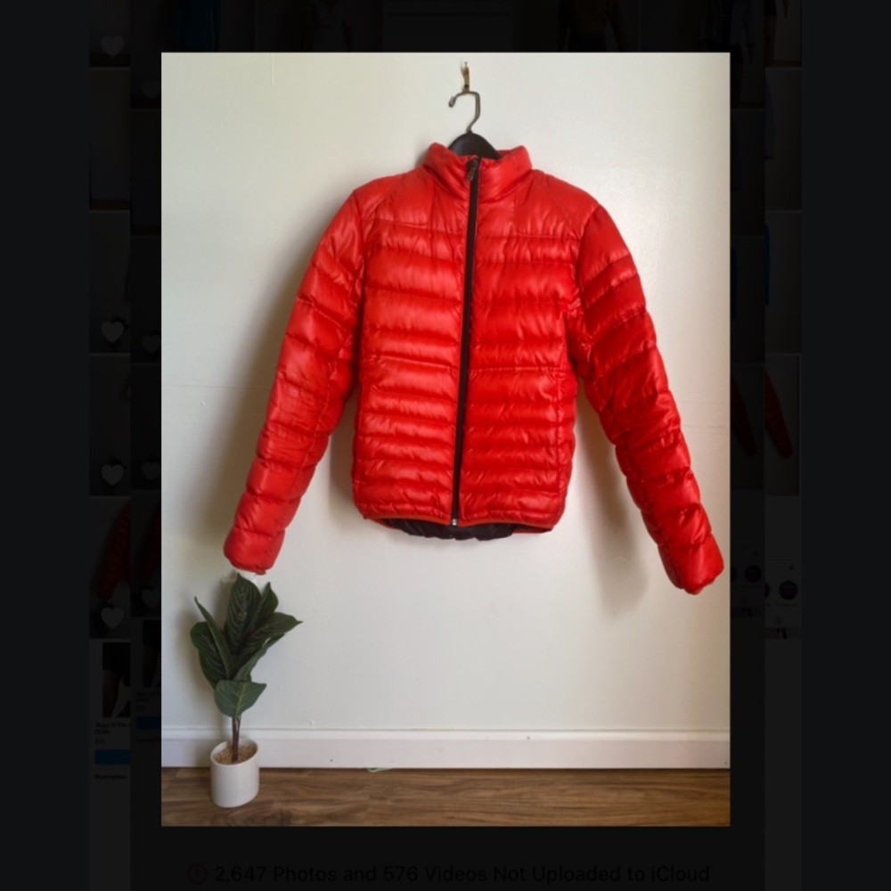 Red Puffer ❤️🔥 - Picture 2 of 4